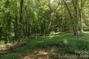 365 N Washington St, Rutherfordton, NC 28139 - Photo 34