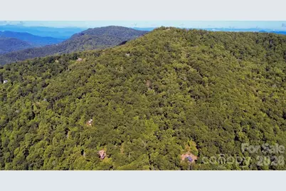 338 Fairview Forest Drive, Fairview, NC 28730 - Photo 40