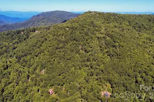 338 Fairview Forest Dr, Fairview, NC 28730 - Photo 40