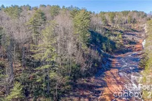 30 Lower Tanglewood Rd E, Lake Toxaway, NC 28747 - Photo 38