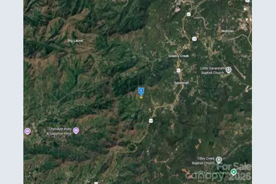 600 Hemlock Falls Drive, Sylva, NC 28779 - Photo 4