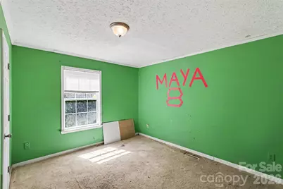 202 Joe Louis Street, Fort Mill, SC 29715 - Photo 22
