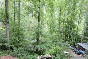 963 Melton Branch Rd, Bakersville, NC 28705 - Photo 46