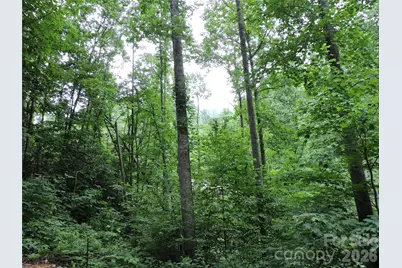 963 Melton Branch Road, Bakersville, NC 28705 - Photo 48