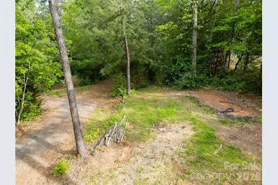 1335 Little Mountain Road, Columbus, NC 28722 - Photo 38