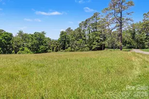 788 Alexander Rd, Alexander, NC 28701 - Photo 10