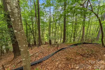 130 Settlement Ridge Drive #48, Marion, NC 28752 - Photo 26