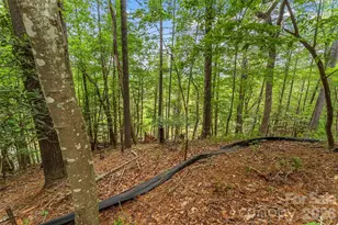 130 Settlement Ridge Drive, Marion, NC 28752 - Photo 26