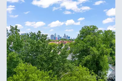 433 Atherton Street, Charlotte, NC 28203 - Photo 6
