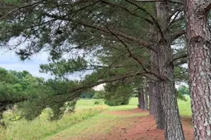 32541 Bethlehem Church Rd, Norwood, NC 28128 - Photo 22