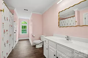 6128 Lake Providence Ln, Charlotte, NC 28277 - Photo 28