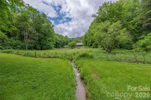 262 Gibson Branch Rd, Clyde, NC 28721 - Photo 22