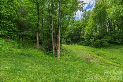 262 Gibson Branch Road, Clyde, NC 28721 - Photo 24