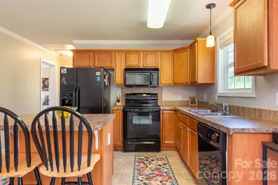 25 Inglescott Way, Alexander, NC 28701 - Photo 12
