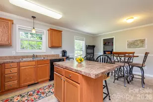 25 Inglescott Way, Alexander, NC 28701 - Photo 10