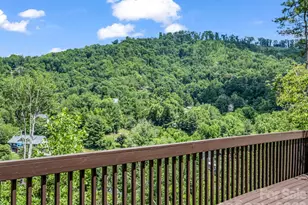 8 Sunny Ridge Dr, Asheville, NC 28804 - Photo 40