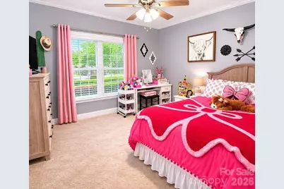 1731 Furnace Road Extension, Lincolnton, NC 28092 - Photo 16