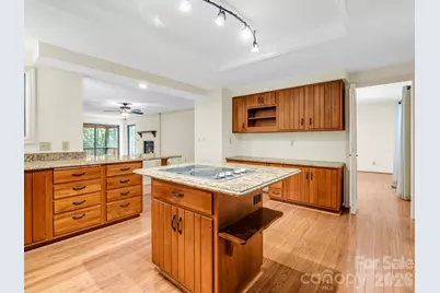 115 Woodhaven Drive, Hendersonville, NC 28739 - Photo 16