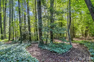115 Woodhaven Dr, Hendersonville, NC 28739 - Photo 44
