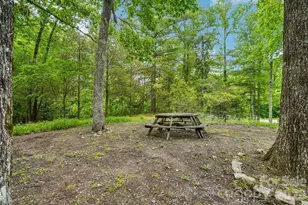 3229 N Bearwallow Rd, Hendersonville, NC 28792 - Photo 26