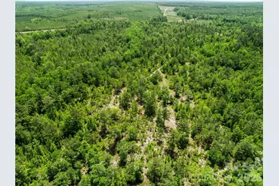 0000 Crowley Road, Patrick, SC 29584 - Photo 6