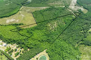 0000 Crowley Rd, Patrick, SC 29584 - Photo 1