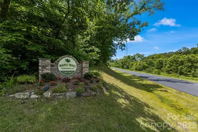 115 Water Leaf Drive, Weaverville, NC 28787 - Photo 34