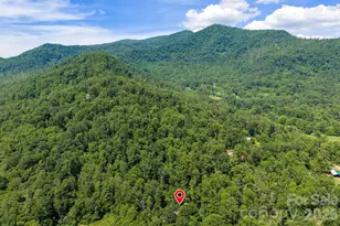 235 Bull Crk Rd, Asheville, NC 28805 - Photo 46