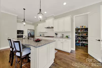 6390 Willow Farm Drive, Denver, NC 28037 - Photo 10