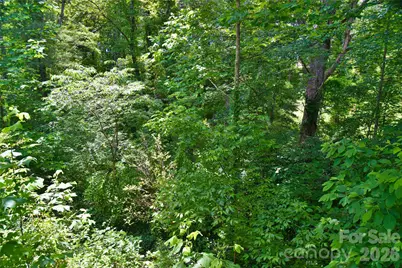 115 Wicklow Drive, Asheville, NC 28806 - Photo 30