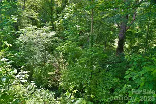 115 Wicklow Dr, Asheville, NC 28806 - Photo 30