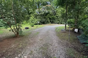 1304 N Davidson St, Charlotte, NC 28206 - Photo 4