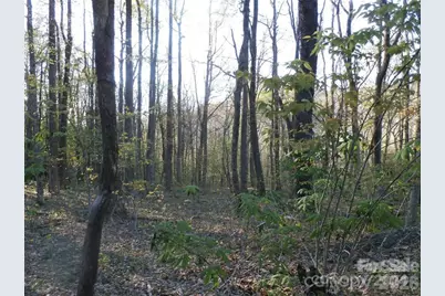 288 Firetower Road, Spruce Pine, NC 28777 - Photo 24