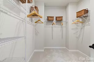 8312 Discovery Ln, Charlotte, NC 28216 - Photo 24