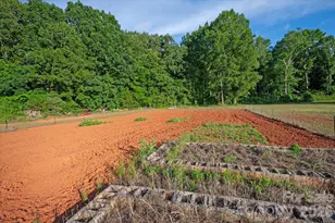 2206 Camden Rd, Wingate, NC 28174 - Photo 48