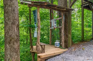 520 Patricia Rd, Black Mountain, NC 28711 - Photo 22