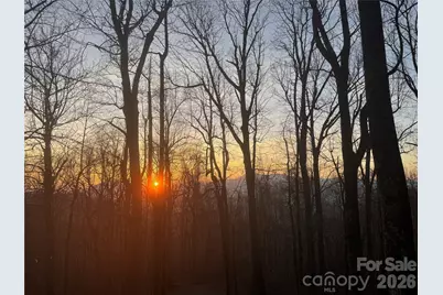 520 Patricia Road, Black Mountain, NC 28711 - Photo 34