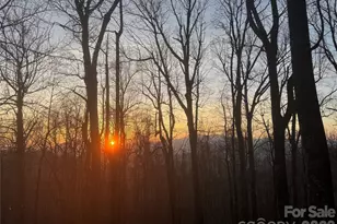 520 Patricia Rd, Black Mountain, NC 28711 - Photo 34