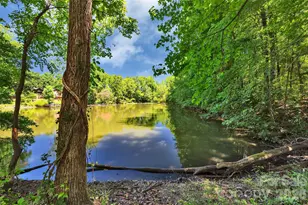 1433 Lurecliff Pl, Fort Mill, SC 29708 - Photo 42