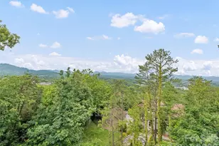9 Perrion Ave, Weaverville, NC 28787 - Photo 40