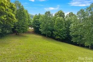 49 Western Eagle Dr, Hendersonville, NC 28792 - Photo 48
