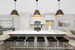 40203 Crooked Stick Dr, Lancaster, SC 29720 - Photo 2