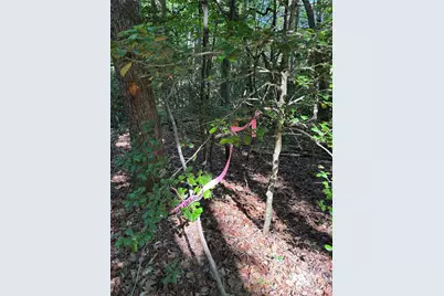 000 Stillwater Road, Boomer, NC 28606 - Photo 22