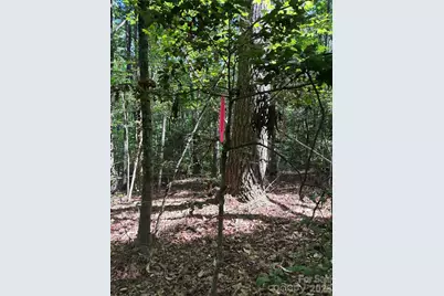 000 Stillwater Road, Boomer, NC 28606 - Photo 20