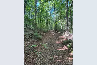 000 Stillwater Road, Boomer, NC 28606 - Photo 28