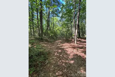 000 Stillwater Road, Boomer, NC 28606 - Photo 24