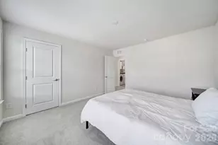 3622 Catherine Creek Pl, Davidson, NC 28036 - Photo 32