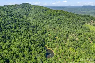 980 Mountain Forest Dr, Union Mills, NC 28167 - Photo 40