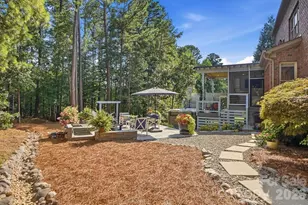16601 Doves Canyon Ln, Charlotte, NC 28278 - Photo 42