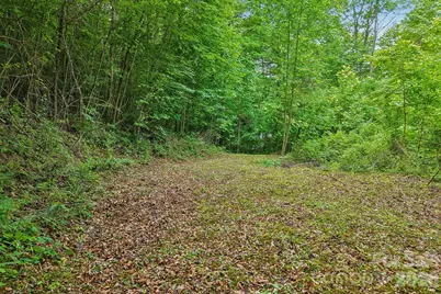 00 Sequoyah Drive, Waynesville, NC 29786 - Photo 1